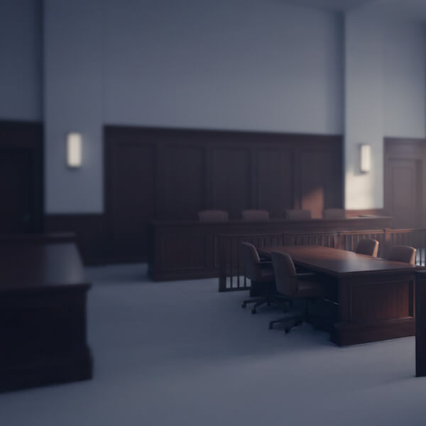 Federal courtroom for immigration writ of mandamus and appellate litigation against USCIS delays